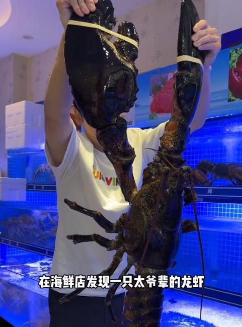 网红怪兽的家庭背景,揭秘背后神秘家庭背景