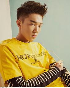 演员见组资料,探寻演员背后的故事与魅力