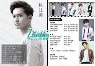 演员见组资料,探寻演员背后的故事与魅力