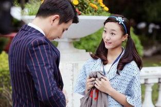 明星时代电视剧,璀璨星途，梦想起航