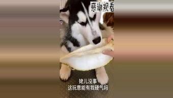 伯利娱乐真假,真伪难辨，娱乐帝国背后的真相